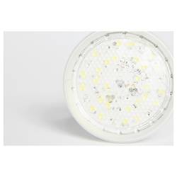 Venso LED lampa na rostliny Grow Lights Winter 100 mm E27 7 W denní bílá 1 ks