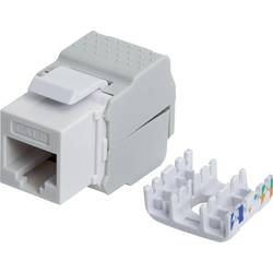 Intellinet 167062 RJ45 vestavný modul Keystone CAT 5e, CAT 6 1 ks