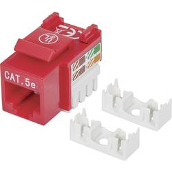 Intellinet 210478 RJ45 vestavný modul Keystone CAT 5e 1 ks