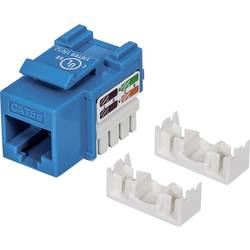 Intellinet 210546 RJ45 vestavný modul Keystone CAT 5e 1 ks