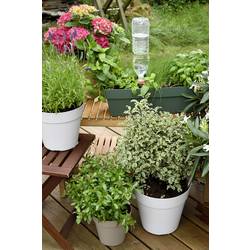 Hozelock 100-101-072 Zavlažovací kužel