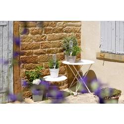 Hozelock 100-101-072 Zavlažovací kužel