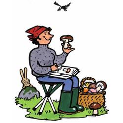 Walkstool Comfort XXXL skládací židle černá, stříbrná 63549 Zatížitelnost (hmotnost) (max.) 250 kg