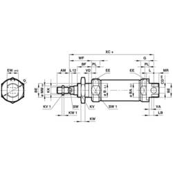 IMI NORGREN RM/8020/M/25 kulatý válec délka: 25 mm 1 ks