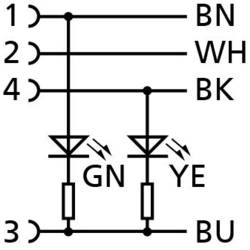 Escha AL-SWKP4P2-2/S370 upravený zástrčkový konektor pro senzory - aktory, 8045345, piny: 4, 2.00 m, 1 ks