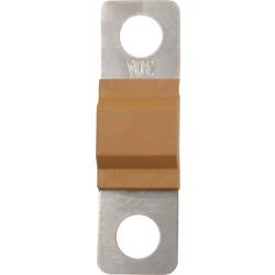 TRU COMPONENTS TC-13545872 pojistka 30 A 80 V/DC Množství 10 ks Bulk