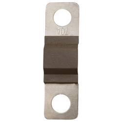 TRU COMPONENTS TC-13545888 pojistka 70 A 80 V/DC Množství 10 ks Bulk