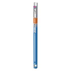 OSRAM HOMELIGHTING LED trubice Energetická třída (EEK2021): E (A - G) G13 zářivkový tvar 6.6 W = 18 W studená bílá (Ø x d) 26.80 mm x 604 mm 1 ks