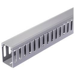 Sygonix SY-6801164 vodicí lišta (d x š x v) 2000 x 40 x 60 mm 5 ks šedá