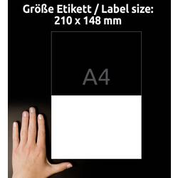 Avery-Zweckform L7916-40 univerzální etikety 210 x 148 mm polyethylenová fólie bílá 80 ks trvalé barevná laserová tiskárna, laserová tiskárna