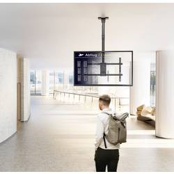 My Wall Bewegliche TV Deckenhalterung TV stropní držák HD8L