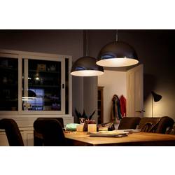 Philips LED 871951436136200 LED Energetická třída (EEK2021) F (A - G) E27 tyčový tvar 4.5 W = 40 W teplá bílá (Ø x v) 32 mm x 106 mm 1 ks