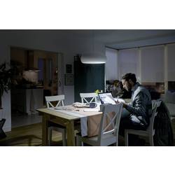 Philips LED 871951436136200 LED Energetická třída (EEK2021) F (A - G) E27 tyčový tvar 4.5 W = 40 W teplá bílá (Ø x v) 32 mm x 106 mm 1 ks