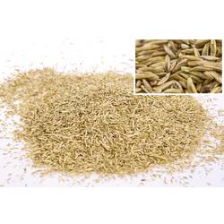 WOLF-Garten 3826650 WOLF-Garten 3826650 1 ks