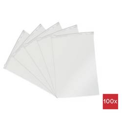 Tašky na zip bez štítků (d x š) 250 mm x 180 mm transparentní polyetylén