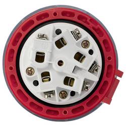 Sygonix SY-6796258 CEE propojka, 63 A, 5pólová, 400 V/AC, 1 ks