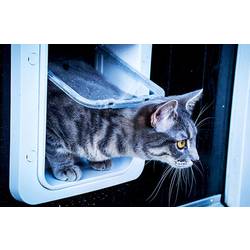 SureFlap Mikrochip Cat door Klapka do dveří pro domácí mazlíčky bílá 1 ks