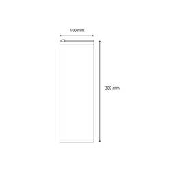 Tašky na zip bez štítků (d x š) 300 mm x 100 mm transparentní polyetylén