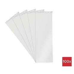 Tašky na zip bez štítků (d x š) 300 mm x 100 mm transparentní polyetylén