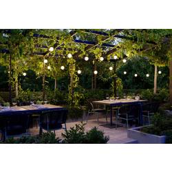 Paulmann 94910 Světelný řetěz Počet žárovek 6 teplá bílá