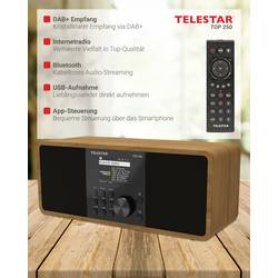 Telestar TOP 250 Holz 5701250 internetové přenosné rádio, DAB+, internetové, FM, Wi-Fi, USB, FM, internet, DAB+, Bluetooth, dřevo