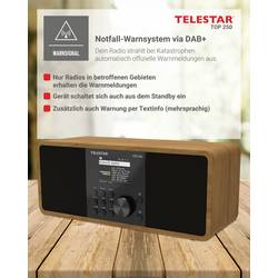 Telestar TOP 250 Holz 5701250 internetové přenosné rádio, DAB+, internetové, FM, Wi-Fi, USB, FM, internet, DAB+, Bluetooth, dřevo