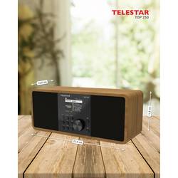 Telestar TOP 250 Holz 5701250 internetové přenosné rádio, DAB+, internetové, FM, Wi-Fi, USB, FM, internet, DAB+, Bluetooth, dřevo