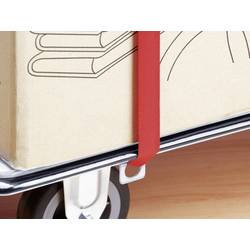 Meister Werkzeuge 8985630 skládací, s odkládací přihrádkou plošinový vozík, ocel, max. zatížení 300 kg