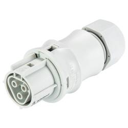 Wieland Electric 96.031.0153.0 konektor