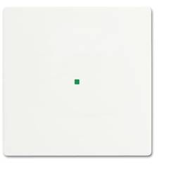 Busch-Jaeger 1násobné kryt free@home bílá, dopravní bílá 2CKA006220A0481 1 ks