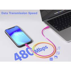 Renkforce USB kabel USB 2.0 USB-C ® zástrčka, USB-C ® zástrčka 1.00 m barevná RF-6872334