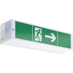 ESYLUX EN10017551 nouzové osvětlení únikových cest Energetická třída (EEK2021) G (A - G) montáž na strop vpravo