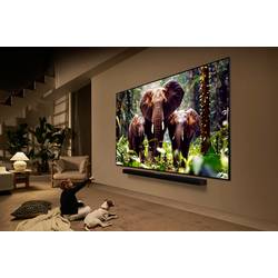 LG Electronics 4K QNED evo AI QNED85 QNED TV, 139 cm 55 palec, E (A - G), CI+, DVB-C, DVB-S, DVB-S2, DVB-T, DVB-T2, UHD, WLAN, Smart TV, černá