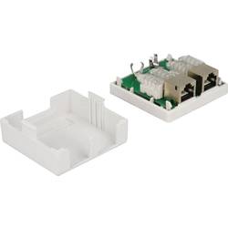 Delock 86269 síťová zásuvka pod omítku panel s čelní deskou a rámečkem CAT 6 2 porty bílá