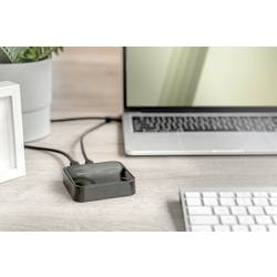 Digitus DA-71545 USB-C™ (USB 3.2 Gen 2) M.2 PCIe NVMe, M.2 dokovací stanice pro pevný disk s funkcí klonování