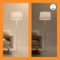 WiZ 8720169071216 Kompletní sada LED pásku 24 V 4000 mm RGBW 4 m