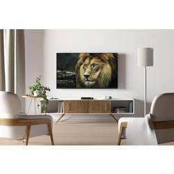 Telestar DIGISTAR C HD kabelový HD přijímač čtečka paměť. karet počet tunerů: 1