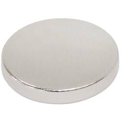 Blanko magnet (Ø x v) 18 mm x 3 mm kulatý nerezová ocel 3 ks 205018