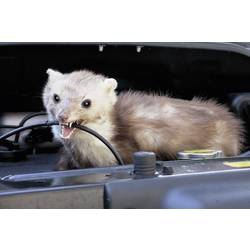 Kemo FG022 odpuzovač kun, 3 V, 1 ks