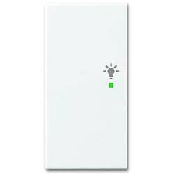 Busch-Jaeger 2násobný kryt symbol světlo Busch-balance SI bílá, čistě bílá (RAL 9010) 2CKA006220A0361 1 ks