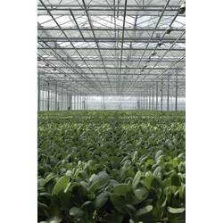 multifunkční datalogger Lascar Electronics EL-USB-2-LCD+, teplota, vlhkost vzduchu