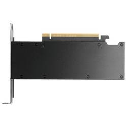 PNY grafická karta Nvidia GeForce RTX 2000 RTX PRO 2000 16 GB GDDR7 RAM mini DisplayPort