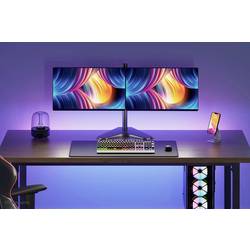 Neomounts FPMA-D550DDBLACK držák na stůl pro monitor 2 Displej: (s) 25,4 cm (10) - 81,3 cm (32) černá nakláněcí, otočný, naklápěcí, stojan, nastavitelná výška