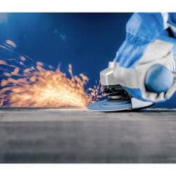 PFERD TOOLS 64187125 brusný kotouč Průměr 125 mm Zrnitost=60 10 ks