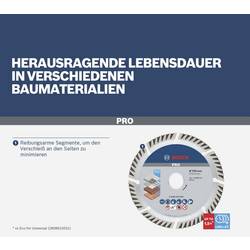 Bosch Accessories 2608615067 Standard for Universal Speed diamantový řezný kotouč Průměr 300 mm Ø otvoru 22.23 mm 1 ks