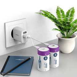 Ansmann LR20 USB-C akumulátor velké mono D Li-Ion 6000 mAh 1.5 V 2 ks