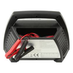Ansmann ALCT 6-24/10 1001-0014-510 dílenská nabíječka 6 V, 12 V, 24 V 1 A 10 A 5 A