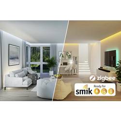 50135 Smik Gateway Paulmann Home Gateway bílá, antracitová