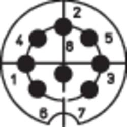 Lumberg 0131 08-1 DIN kruhový konektor zástrčka, rovná Pólů: 8 stříbrná 1 ks