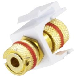 BKL Electronic 2900016 spojka 1 ks
